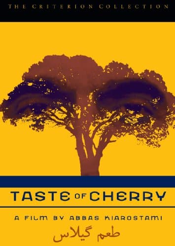Taste The Cherry